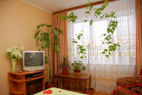 Фото квартиры 2