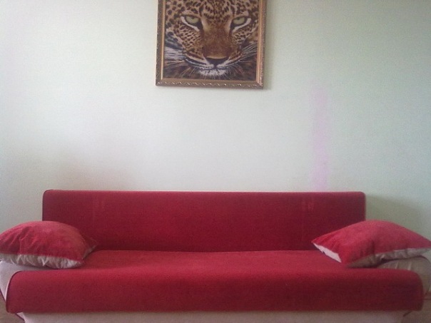 Фото квартиры 8