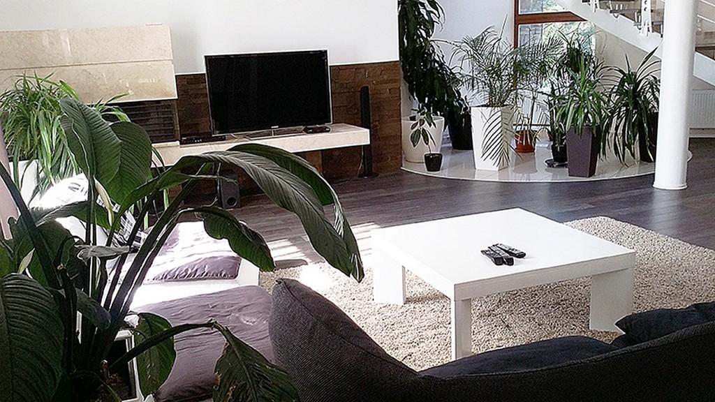 Фото квартиры 3