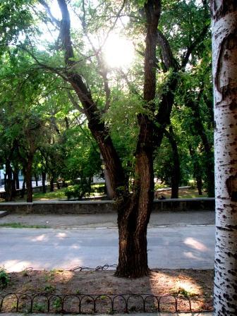 Фото квартиры 5