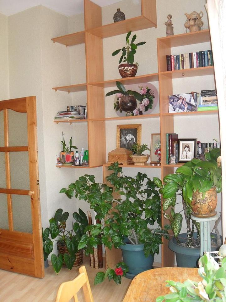 Фото квартиры 10