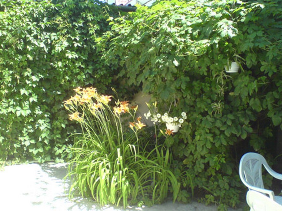 Фото квартиры 2