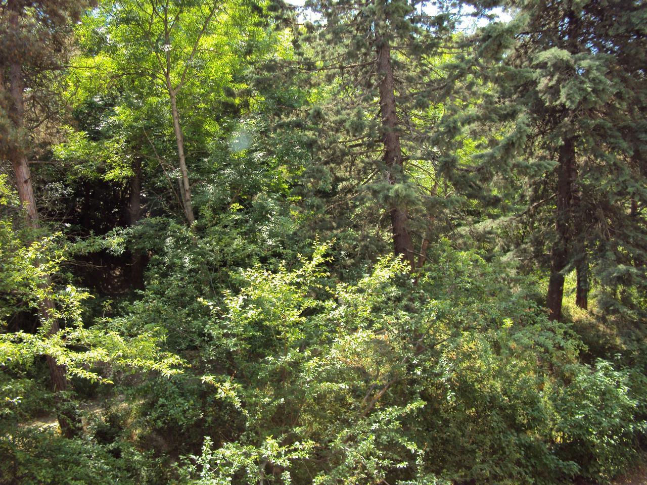 Фото квартиры 6