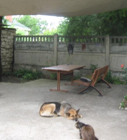 Фото квартиры 9