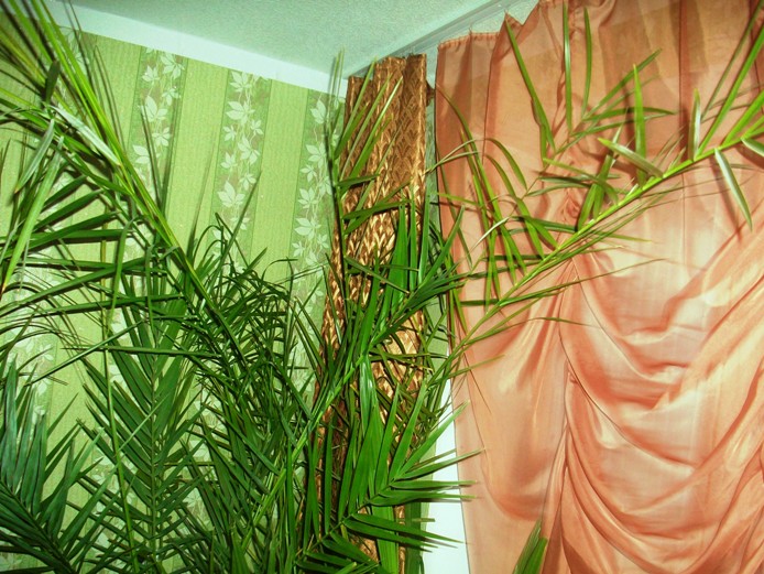 Фото квартиры 12