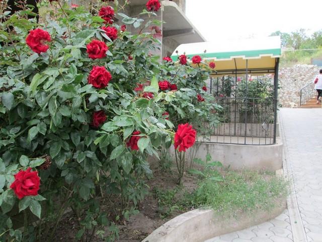 Фото квартиры 7