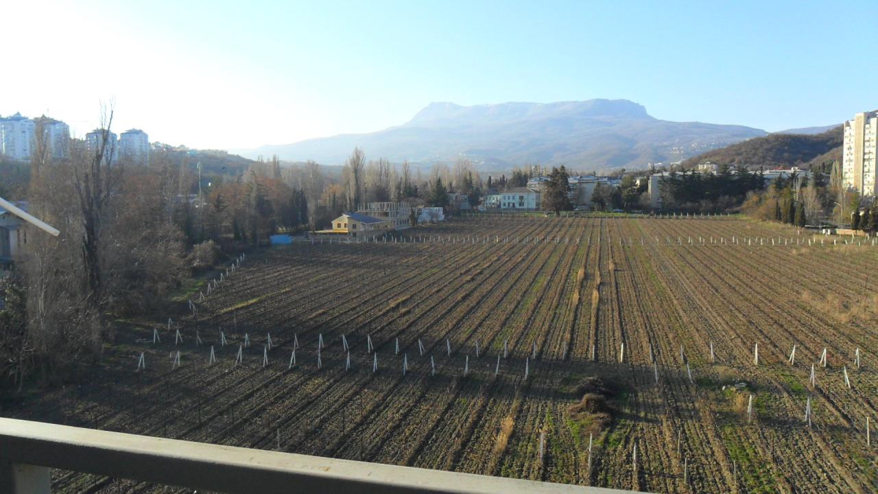 Фото квартиры 10