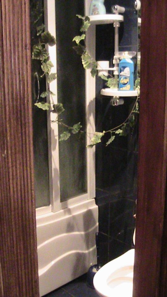 Фото квартиры 4