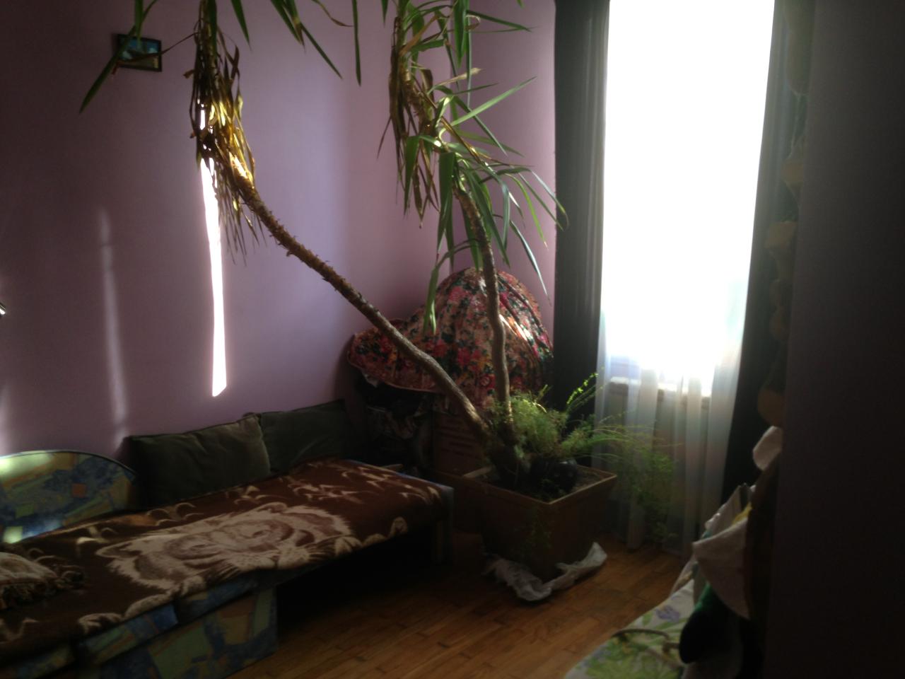 Фото квартиры 2