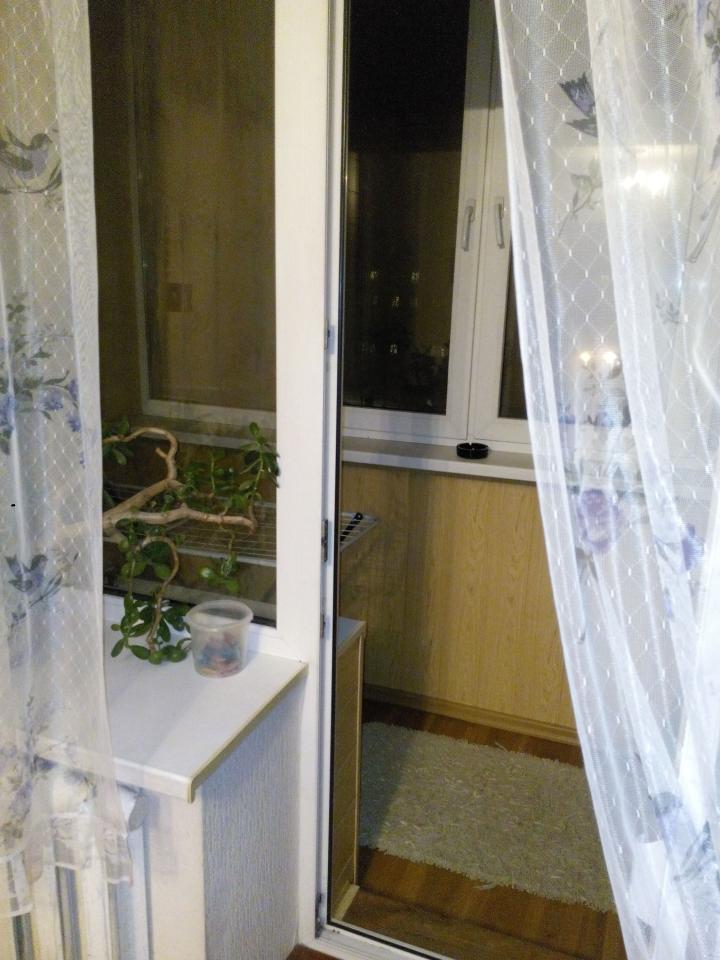 Фото квартиры 11