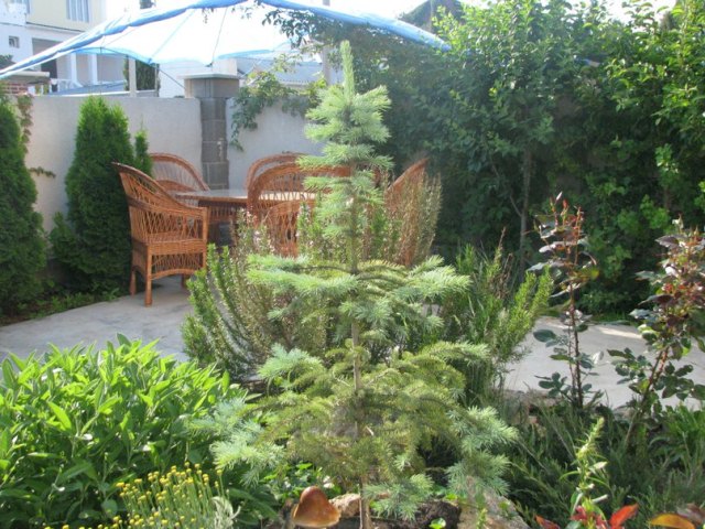 Фото квартиры 1