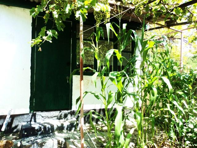 Фото квартиры 6