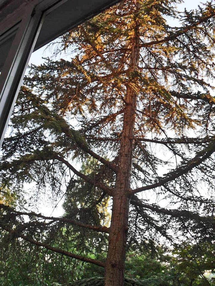 Фото квартиры 10