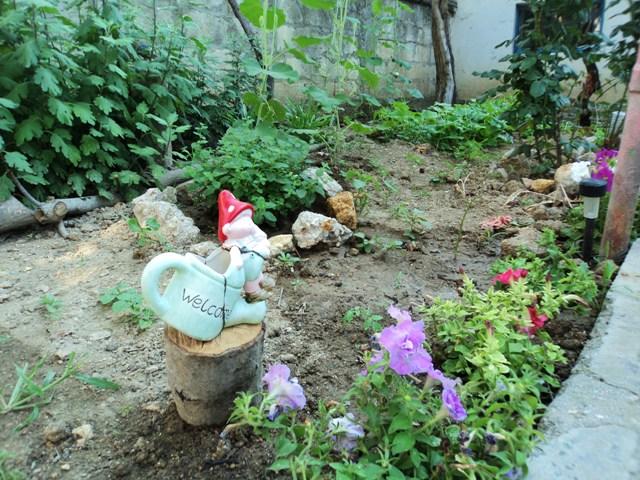 Фото квартиры 11