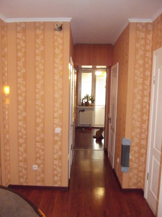 Фото квартиры 14