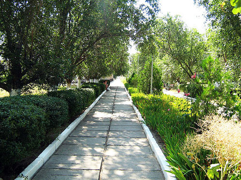 Фото квартиры 5