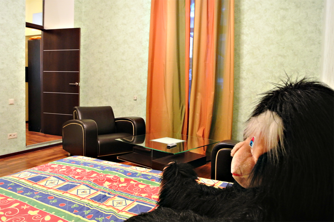 Фото квартиры 9