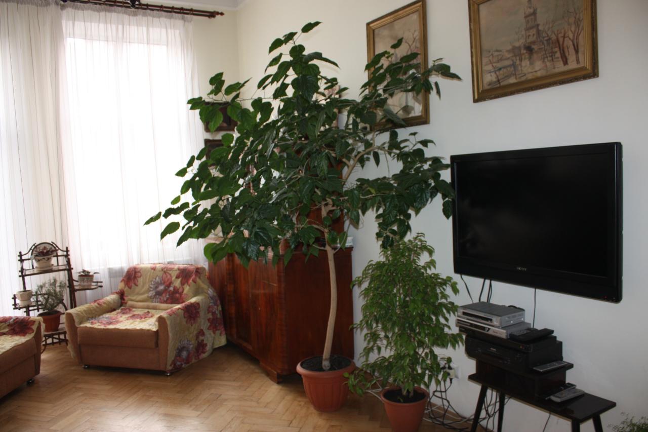 Фото квартиры 5