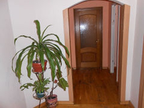 Фото квартиры 8