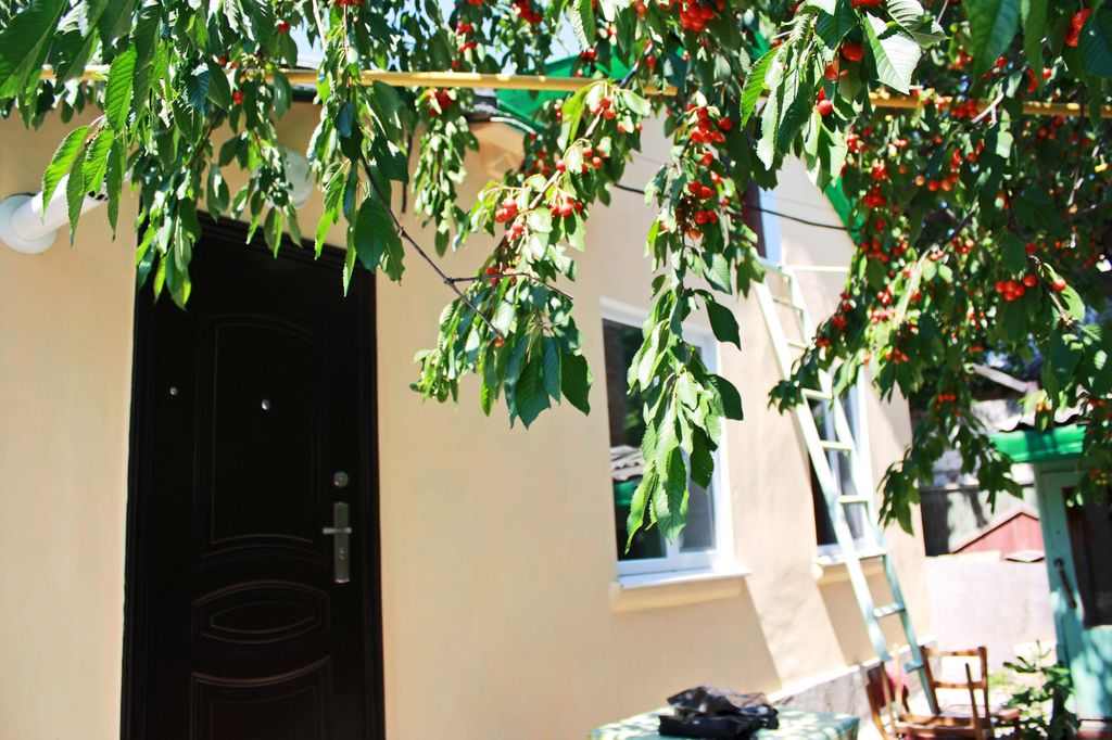 Фото квартиры 1