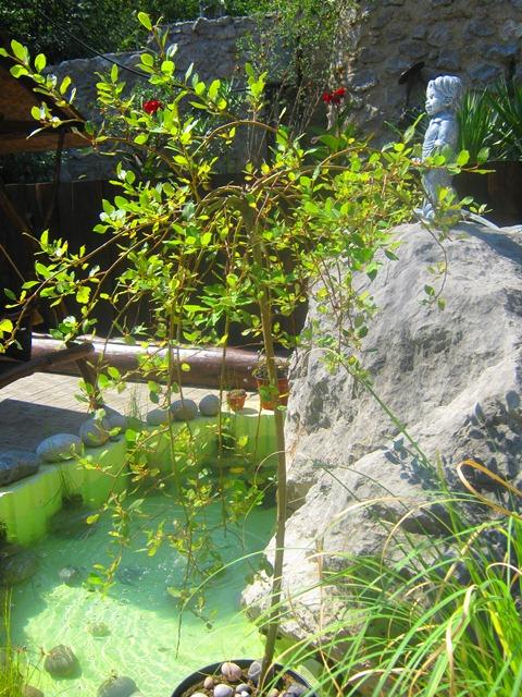 Фото квартиры 8