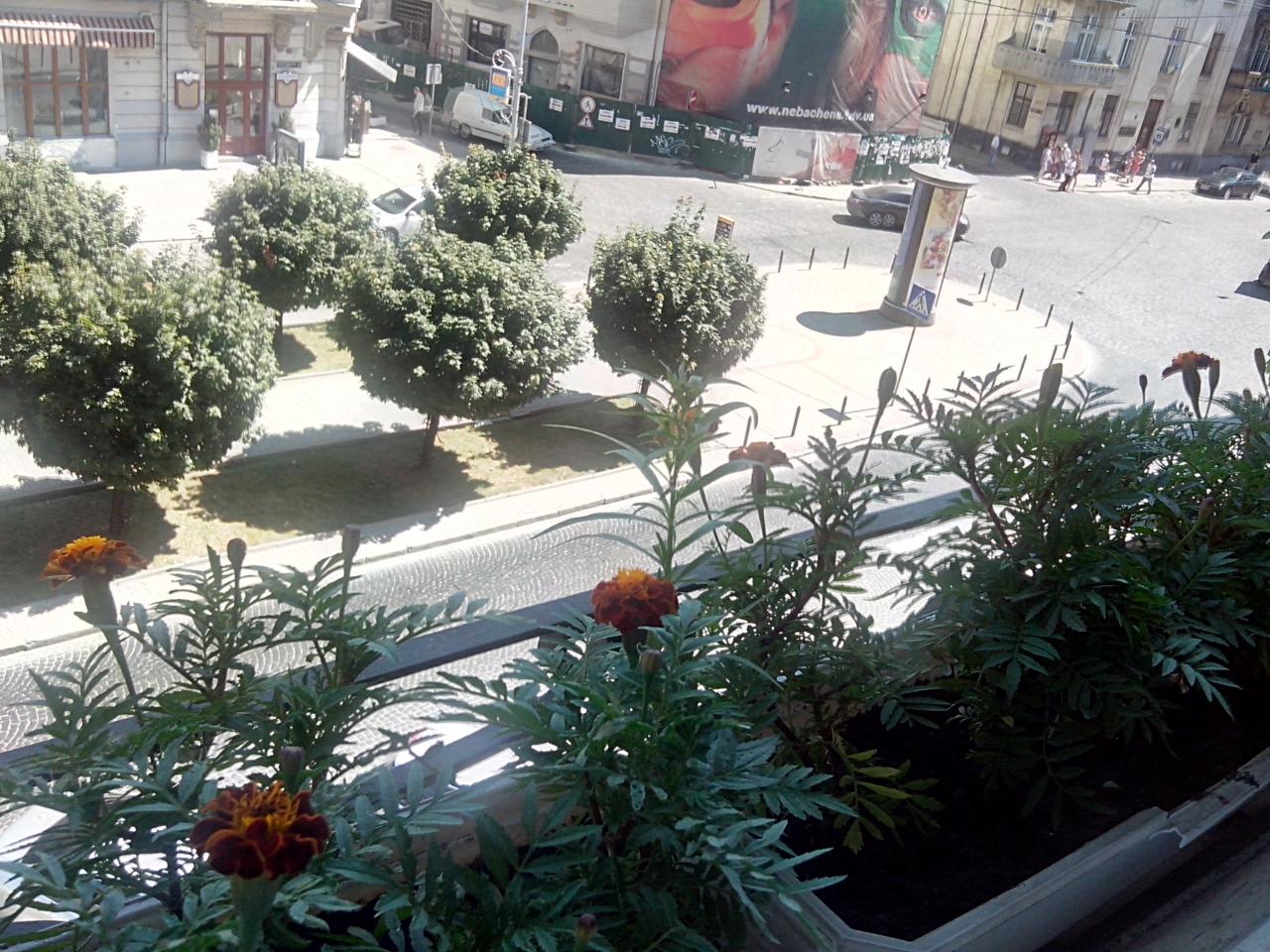 Фото квартиры 12