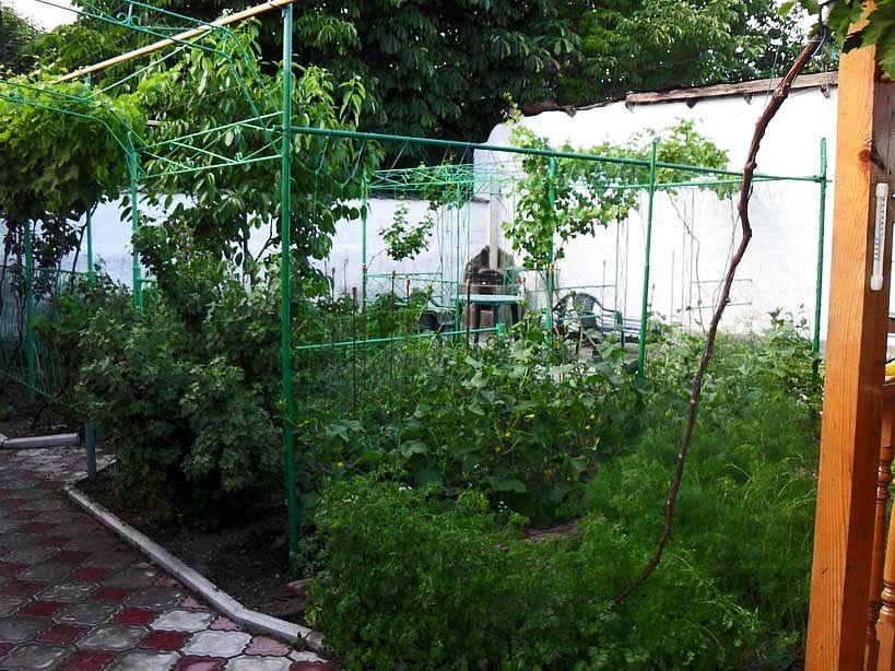 Фото квартиры 6