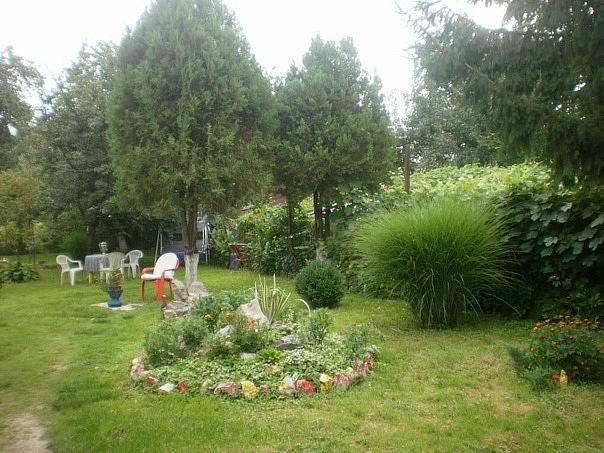 Фото квартиры 11