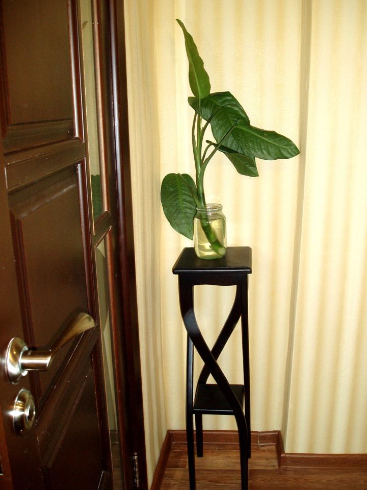 Фото квартиры 4