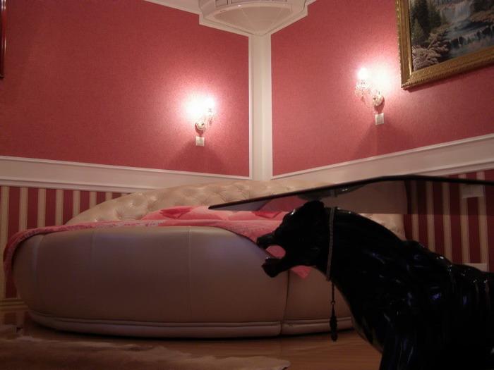 Фото квартиры 3