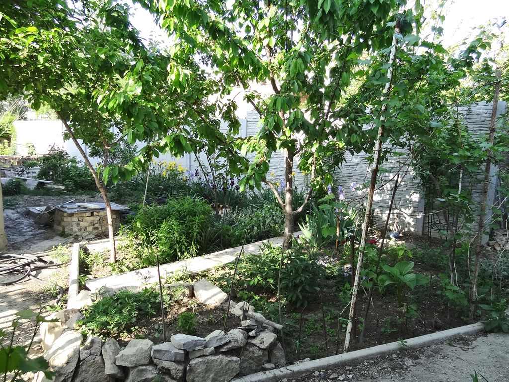 Фото квартиры 11