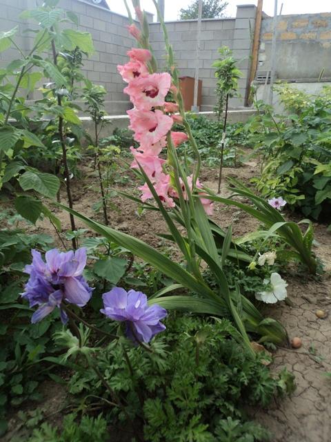 Фото квартиры 10