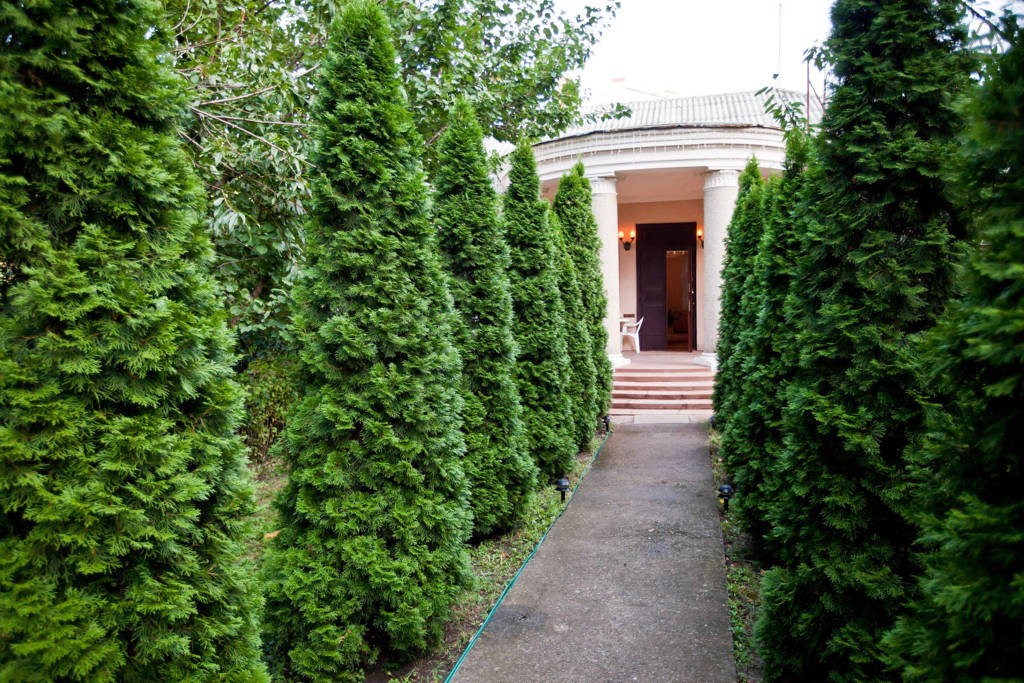 Фото квартиры 12