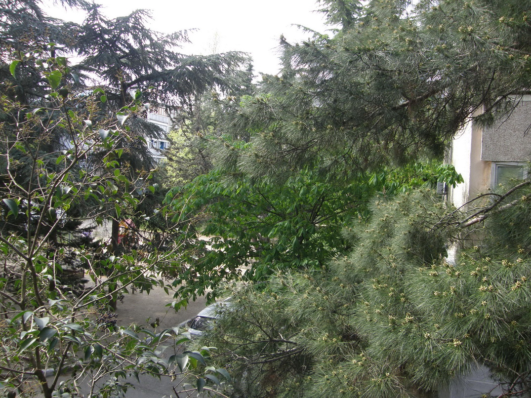 Фото квартиры 7