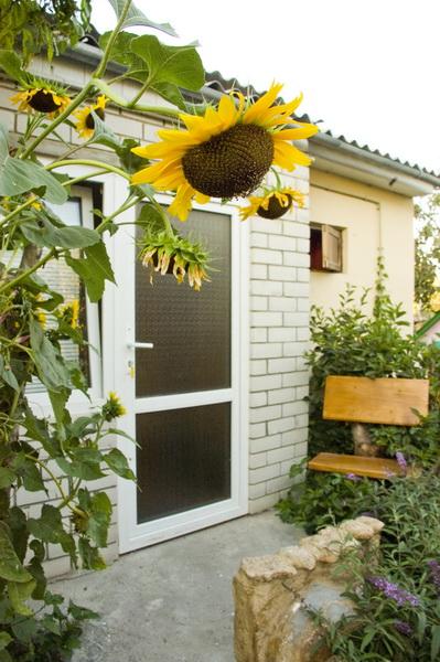 Фото квартиры 1