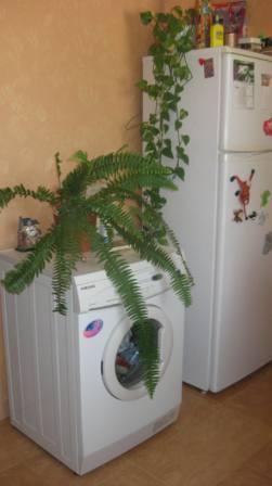 Фото квартиры 7