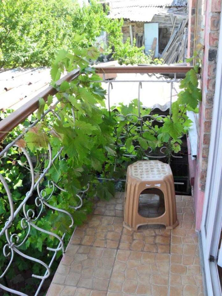 Фото квартиры 23