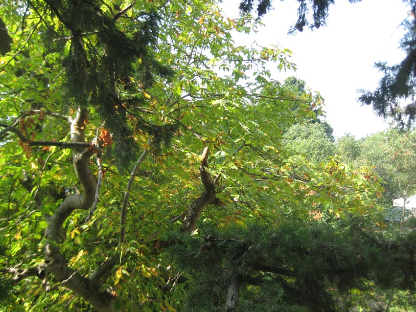 Фото квартиры 2