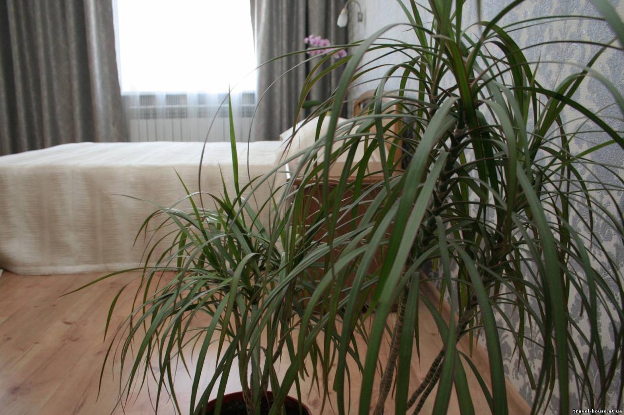 Фото квартиры 4