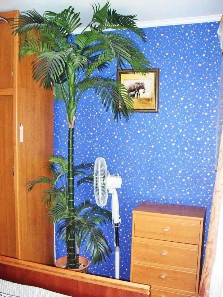 Фото квартиры 10