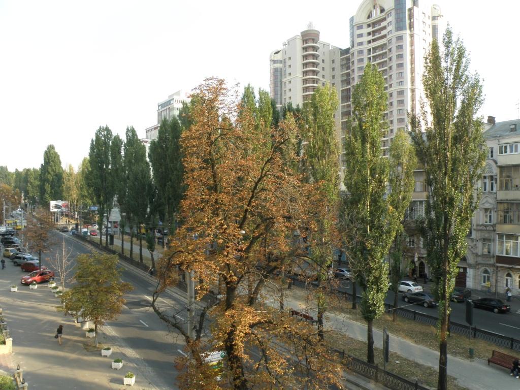 Фото квартиры 25