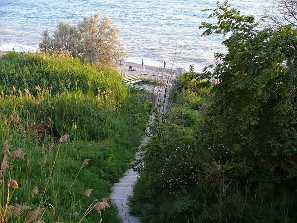 Фото квартиры 15