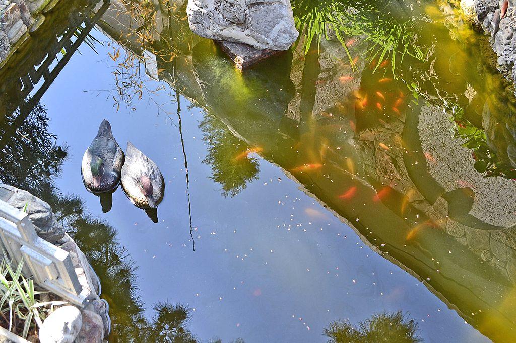 Фото квартиры 12