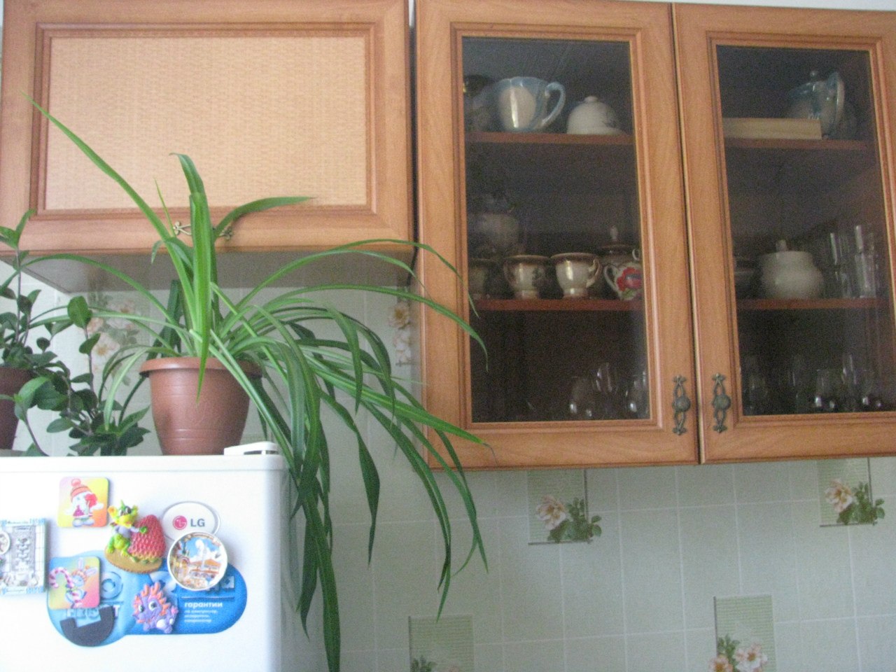 Фото квартиры 11