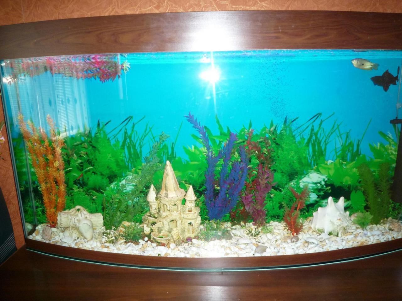 Фото квартиры 1