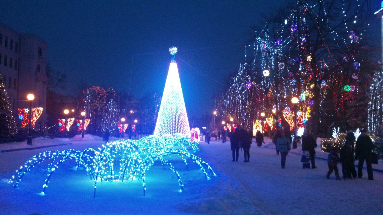 Фото квартиры 11