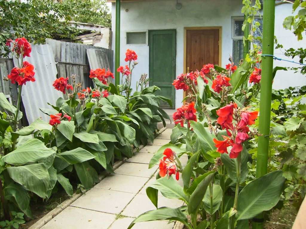 Фото квартиры 1