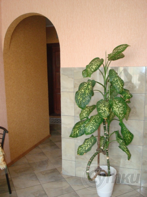 Фото квартиры 2