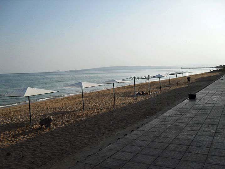 Фото квартиры 38