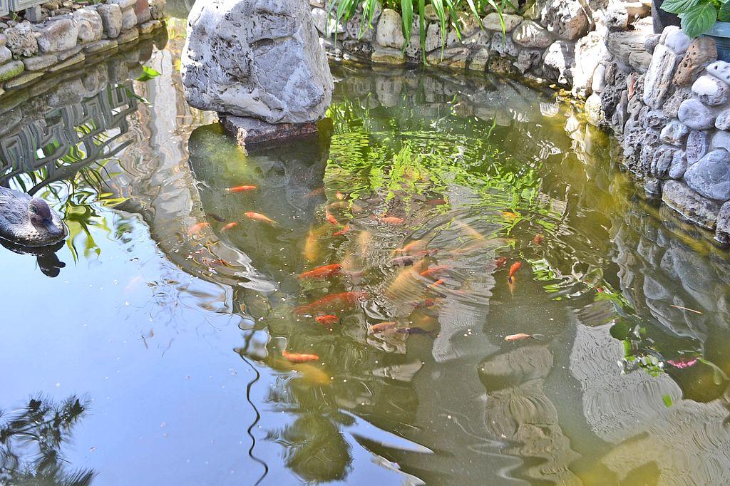 Фото квартиры 11